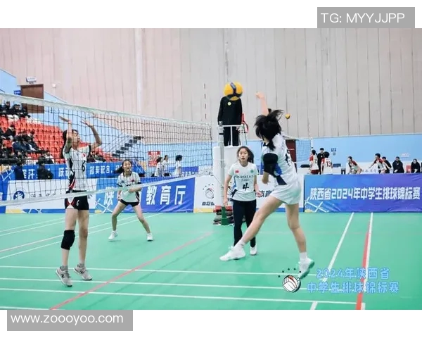 权威发布:全面解析排球比赛经验与实力的最新排行榜