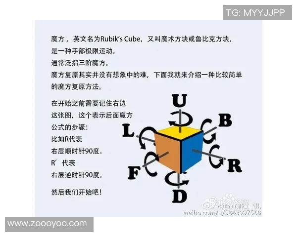 极限运动爱好者必看的防护垫选购指南与推荐技巧