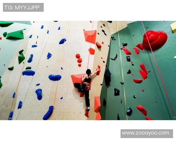 武汉攀岩队强势崛起最新攀岩力量排行榜前十名揭晓