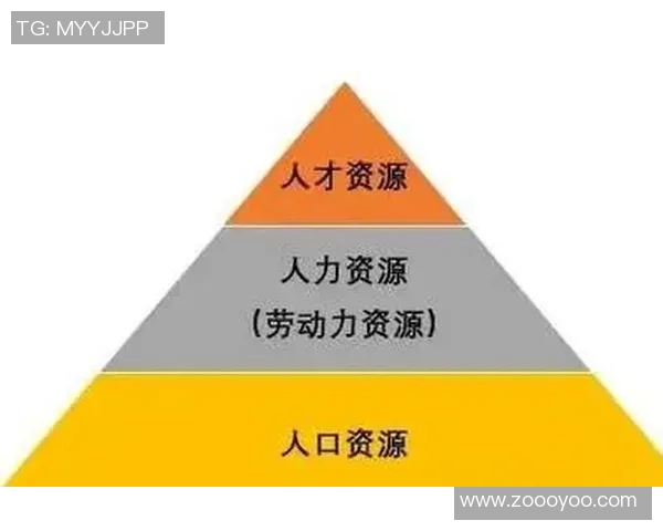 民法领域的创新与挑战姚明斌的法律实践与思考
