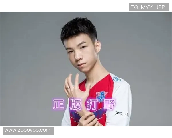 王者荣耀战术解析LNG战队控制体系的深度剖析与应用探讨